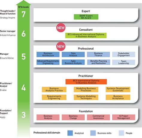 Business Analysis Global Standards of Practice .